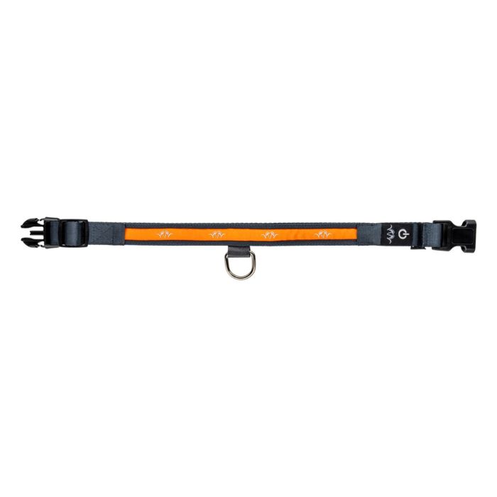 Blaser Hondenhalsband Medium #80414870